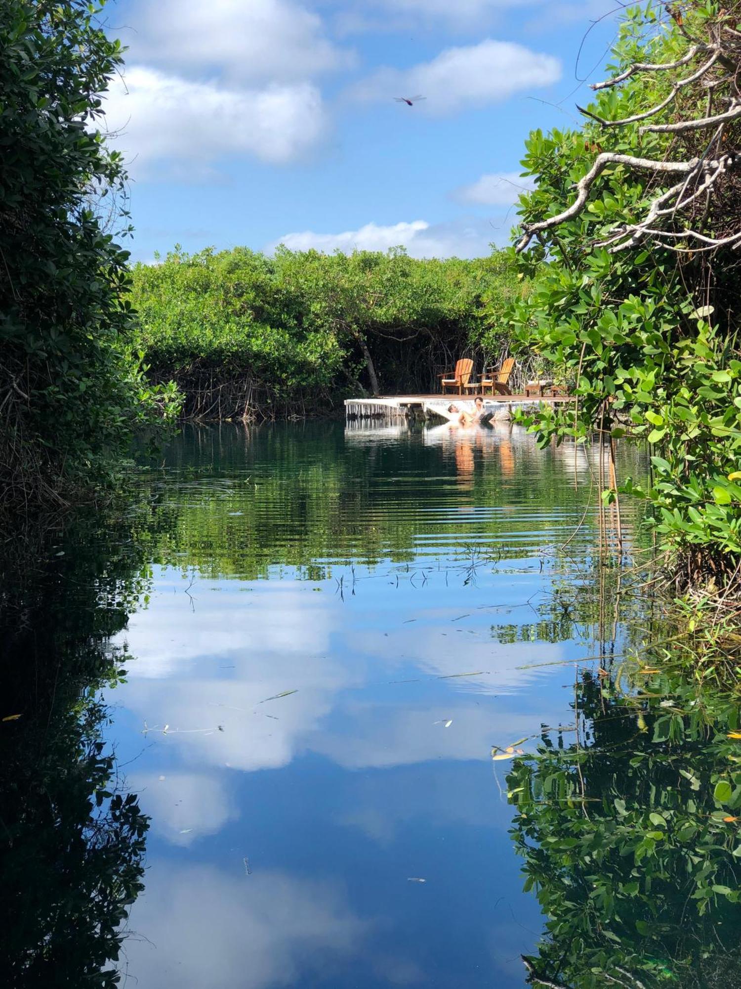 Aldea Mangle Hotel&Cenote Tulum Esterno foto