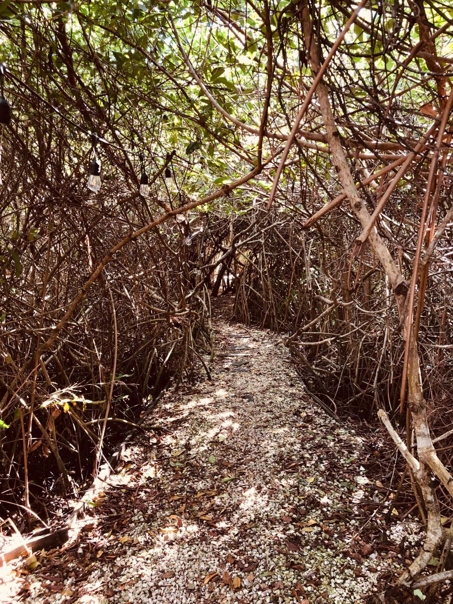 Aldea Mangle Hotel&Cenote Tulum Esterno foto