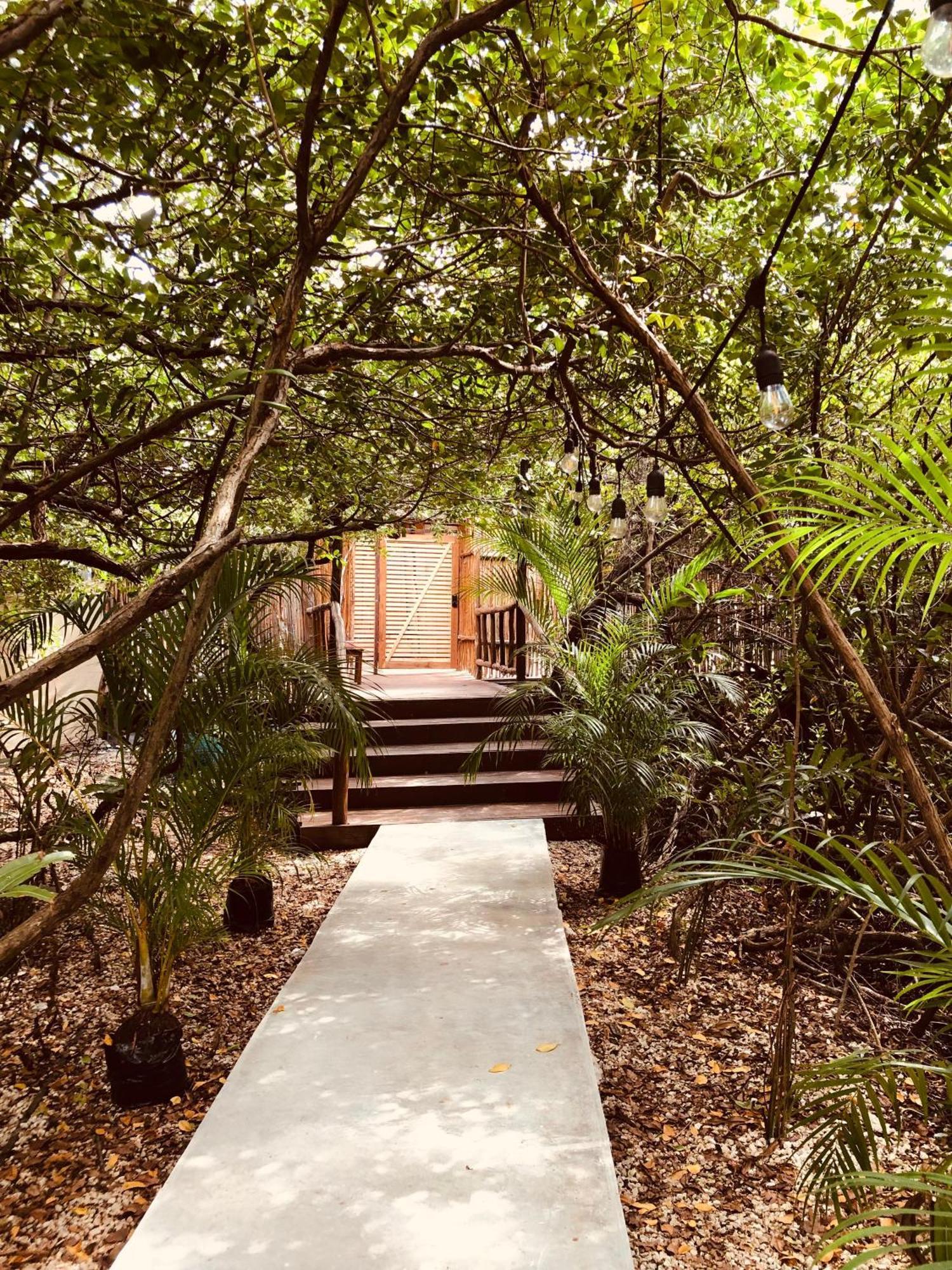 Aldea Mangle Hotel&Cenote Tulum Esterno foto
