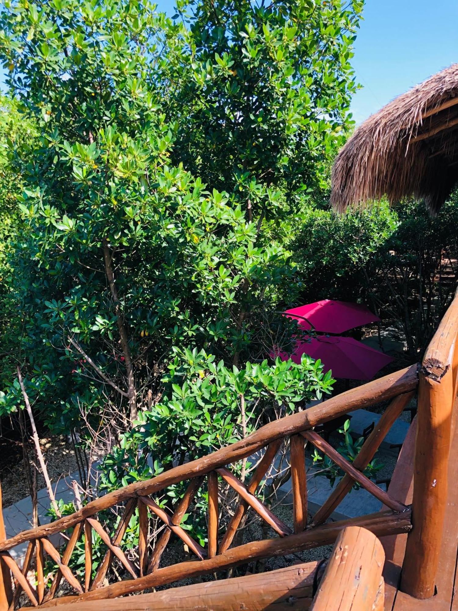 Aldea Mangle Hotel&Cenote Tulum Esterno foto