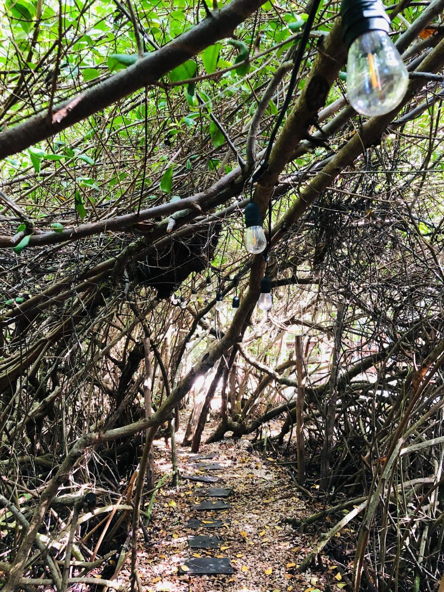 Aldea Mangle Hotel&Cenote Tulum Esterno foto